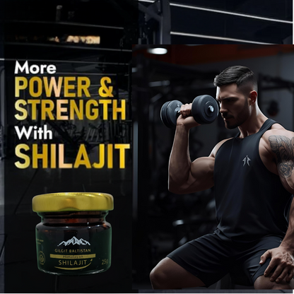 AlizOrganic Gilgit Baltistan Himalayan Shilajit Resin 15g