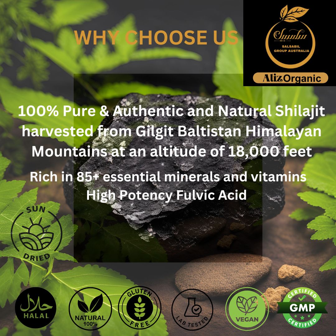 AlizOrganic Gilgit Baltistan Himalayan Shilajit Resin 15g